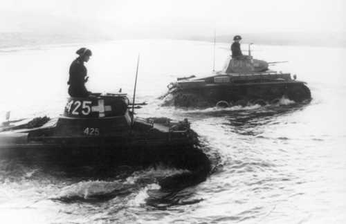 Panzer I and Panzer II tanks of the LSSAH
