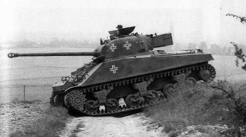 German Firefly Vc