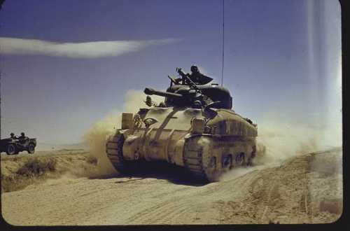 Desert fighting