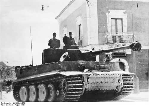 Tiger in Sicily