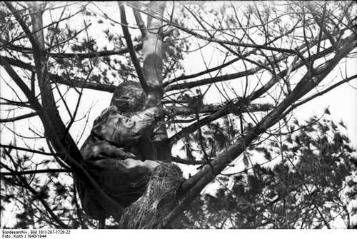 German Sniper setting up Ambush