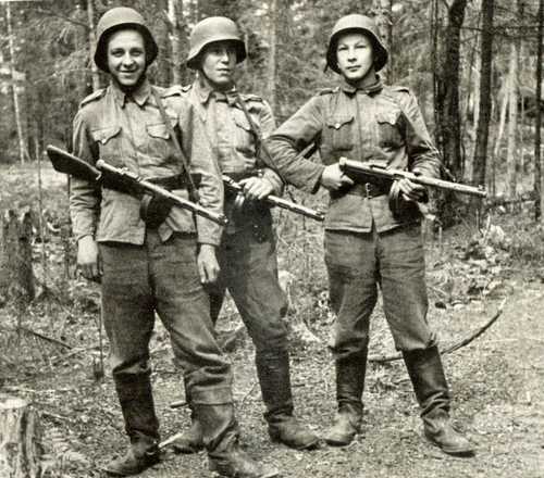 Ostrobothnians