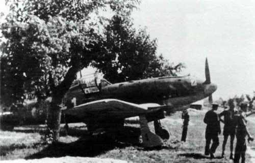 ANR-Luftwaffe: a difficult relationship