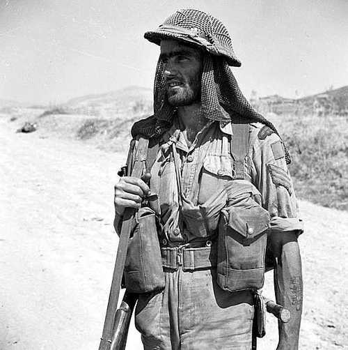 A Desert Rat
