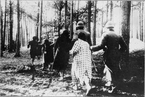 In the Palmiry Forest near Warsaw. 