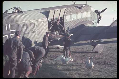 Geese cargo