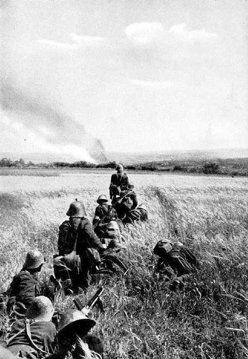 In the wheat field