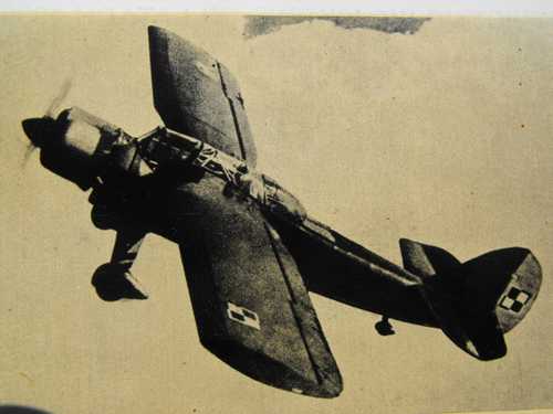 LWS-3 Mewa, Polish observation plane.