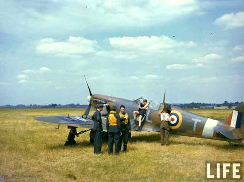 RAF pilots