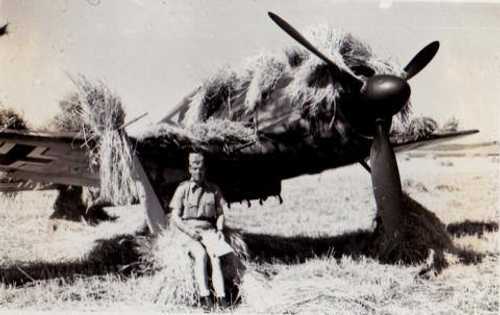 Camouflaged FW190