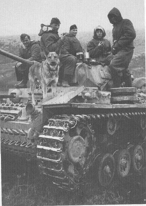 Which side is more serious, the crew or the dog?