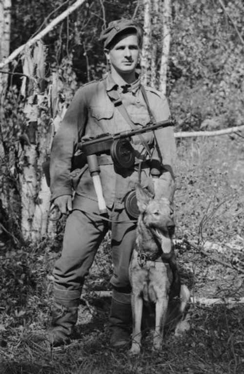 Man's best friend.