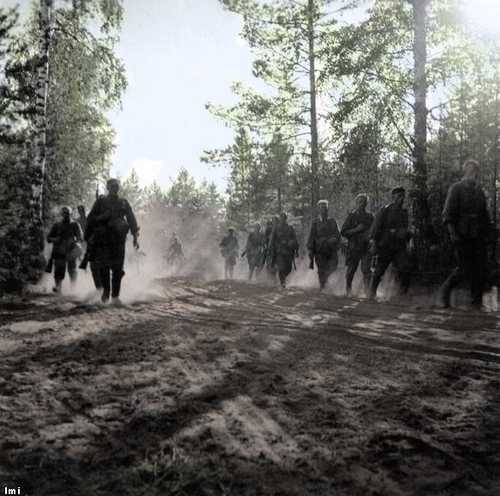 Russian Woods 2