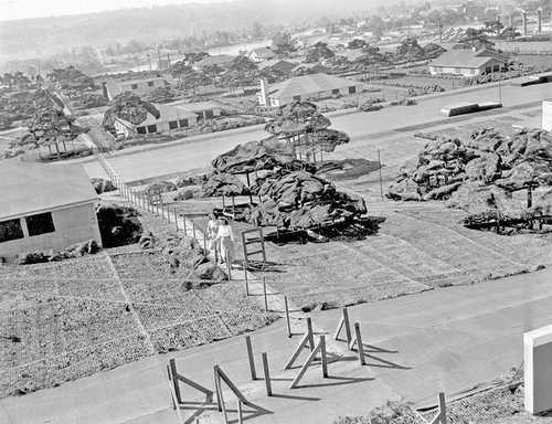 Camouflaged Boeing plant