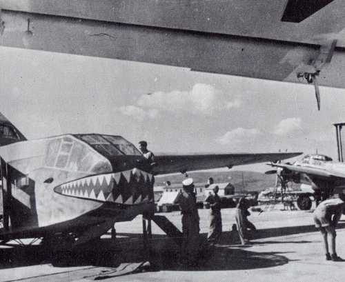 Shark-mouthed glider