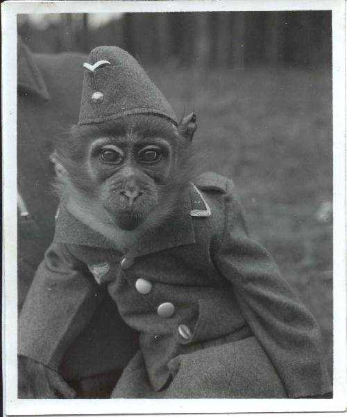 Luftwaffe mascot