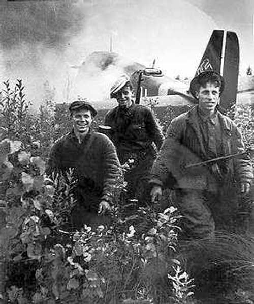 Partisans with downed German plane