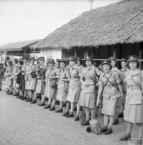 Non-combatant ladies