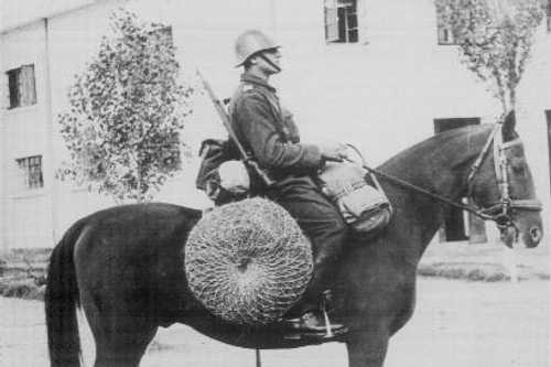 Romanian cavalry equipment.