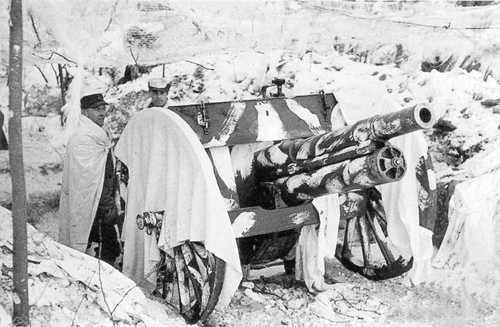 field gun