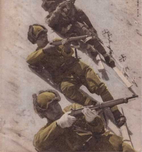 ski troops
