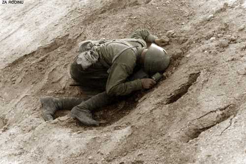 Fallen soldier