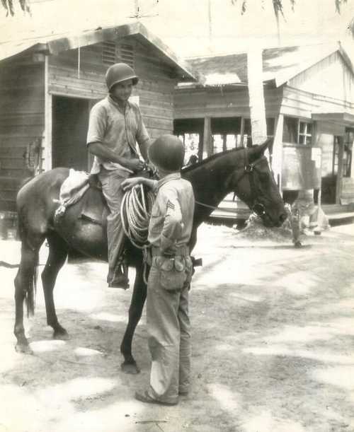 Captured Japanese Horse