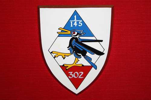 Polish Division 302