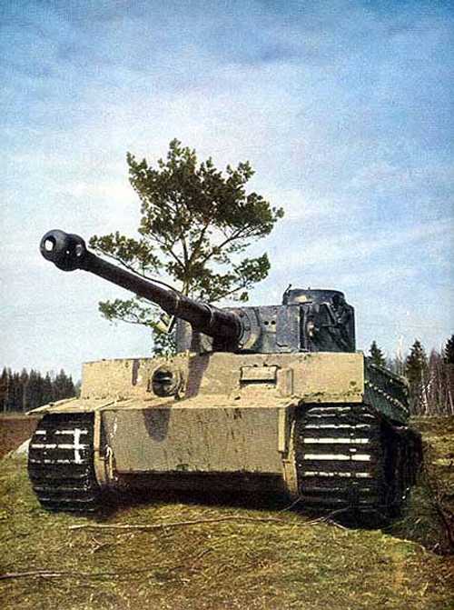 Tiger I close-up