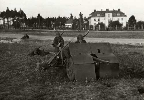 Polish antitank gun in the Sept'39