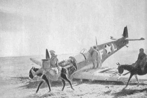 USAAF Spitfire downed