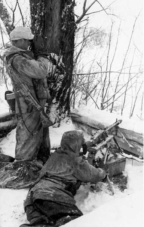 On guard in the snow