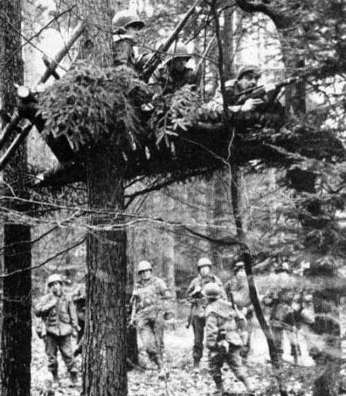 American snipers