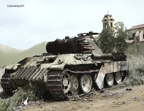 Panther in Italy