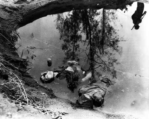 Dead Japanese in shell hole