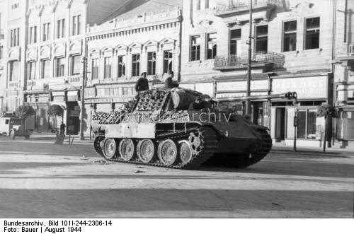 Panther in Budapest.