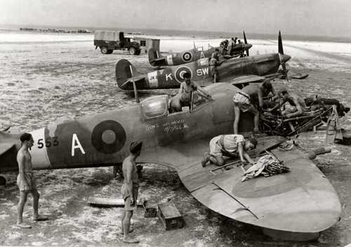 Spit’s service and repair
