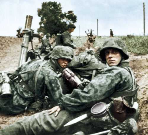 Danish Waffen-SS volunteers (col.)