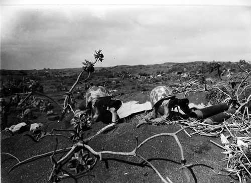 Marine observers
