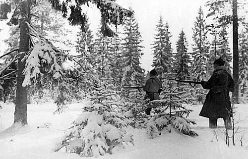 Patrol in a forest