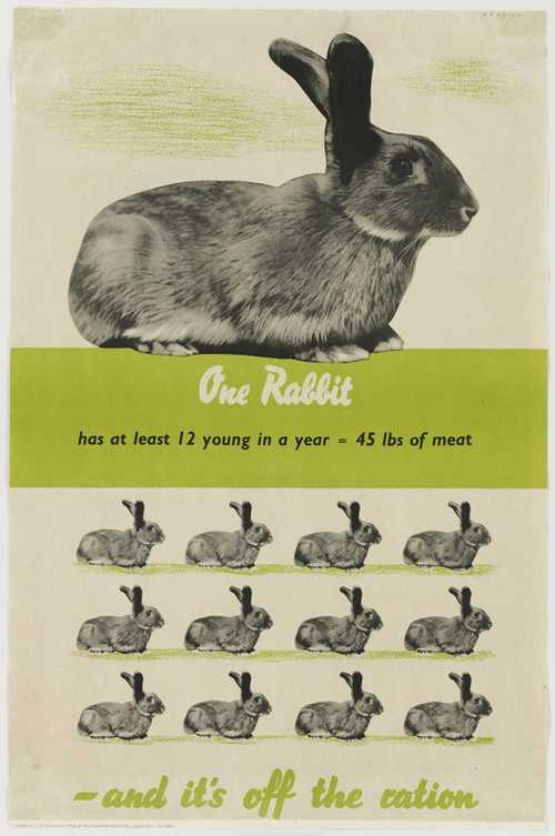 Run Rabbit, run, run, run ...