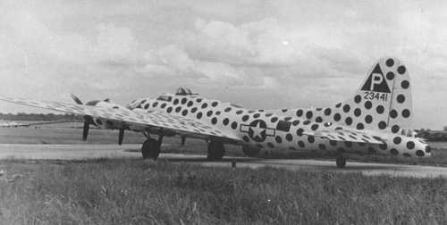 "Spotted Cow"