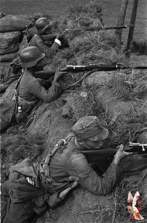 Battle of Shanghai