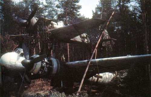 camouflaged_mistel
