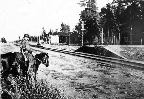 Finnish cavalryman