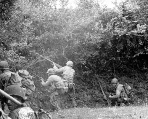 Shooting through Hedges