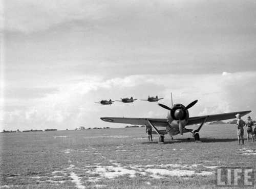 Low flying Brewster Buffalo's