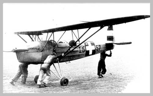 Magyar Levente II Trainer on the Move
