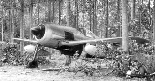 Fw190 hidden