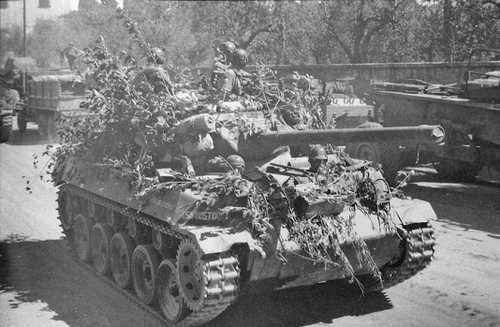 Foliage covered M18 of the 805th